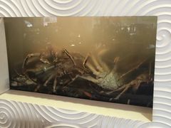 -无招牌海鲜餐厅(怡丰城店)