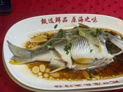 -蛇口康乐快餐鱼仔档(翠苑小区店)