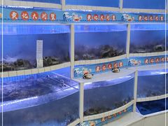 水产区-黄记大闸蟹专卖店·活蟹·醉蟹