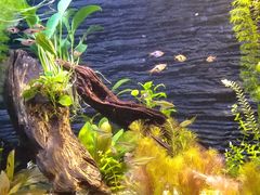 -上海海洋水族馆