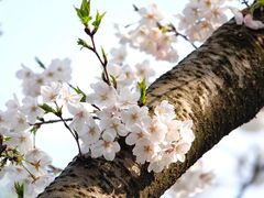 -宁波大学附属第一医院(外滩院区)