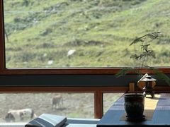 -云座·时光·观景咖啡厅(五爷庙店)