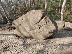 -上海佘山国家森林公园天马山园