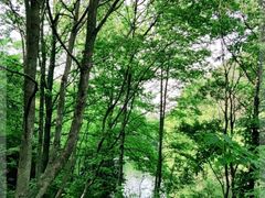 -青龙山国家森林公园