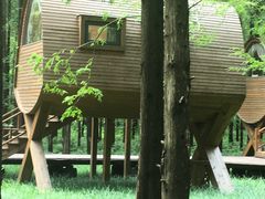 -黄海国家森林公园