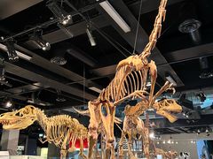 -墨尔本博物馆(Melbourne Museum)