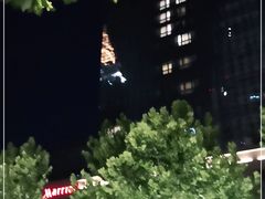 -上海金桥红枫万豪酒店-万豪中餐厅