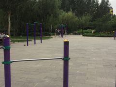 -长春公园(普阳街道)