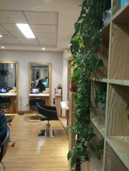 点击看大图 -潘多拉Hairsalon