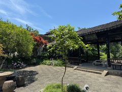 -金庸书院