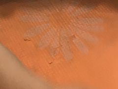 -舞蕾舞蹈(特长生校区)
