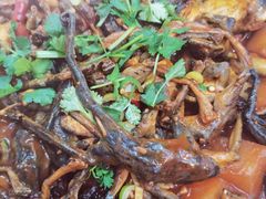 -掌勺人鱼馆(朝阳镇店)