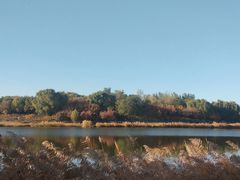 -大兴滨河森林公园