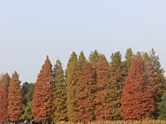 -艾溪湖湿地公园