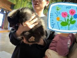 -Zoolung Zoolung动物主题公园(海信广场店)