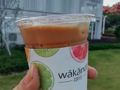 益生菌拿铁-wakanda瓦坎达咖啡(创享天地店)