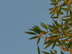 -龍歌自助小火锅(城阳万象汇店)