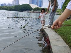 -天鹅湖体育公园