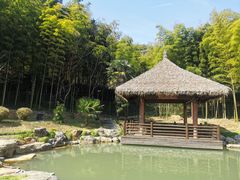 -兰亭风景区