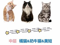 -唐小姐の私宠·宠物洗护美容·撸猫馆·购宠(周浦万达旗舰店)