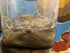 -DGE季风钓虾营地·团建·聚会