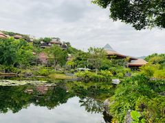 -广州从化都喜泰丽度假温泉酒店