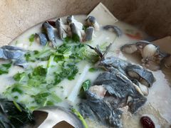 鮰鱼-云中鱼蒸汽石锅鱼(川沙百联店)