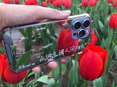 -长春公园(普阳街道)