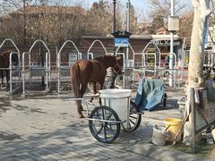 -天津五大道文化旅游区