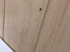 -华莱士·全鸡汉堡(长安霄边店)