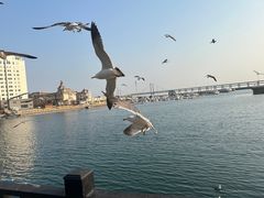 -大连圣亚海洋世界