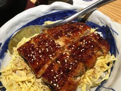 -东菊料理(吉利购物广场店)