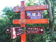 -野狸岛