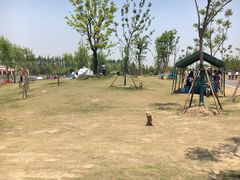 景点-上海长兴岛郊野公园