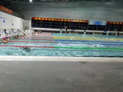 -奥林匹克体育中心游泳馆