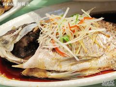 清蒸罗非鱼-神洲四海大酒楼(王府井澳门中心店)