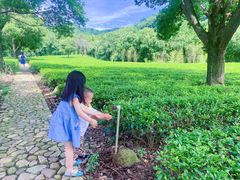 -陶祖圣境风景区