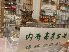 -猫的天空之城概念书店(杭州南宋御街店)