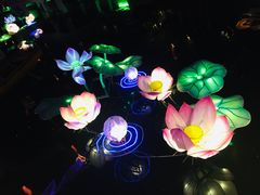 -豫园湖心亭茶楼