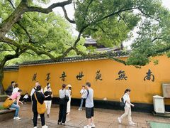 -普济寺素斋