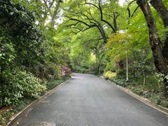 -浙江西子宾馆·瑶园咖啡厅