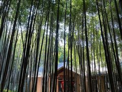 -苏州环秀晓筑养生度假村