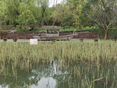 -昆山城市生态森林公园