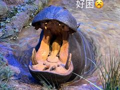 -浙江自然博物院(杭州馆)
