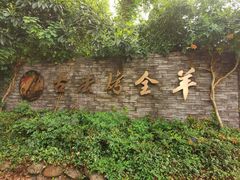 -桃园农庄烤全羊(江秋路店)