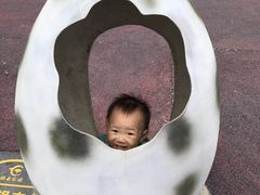 -千年银杏谷文化旅游区