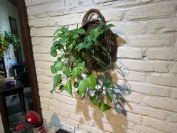 点击看大图 -MAGSTUDIO美格造型