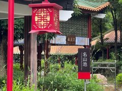 -佛山市三水温泉度假村