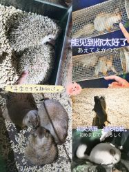 -未来动物城动物主题公园(大悦城店)