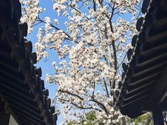 -常熟方塔园